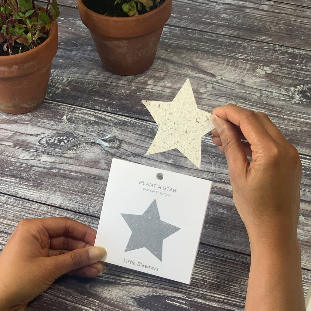 Plantable Seed Paper Card - Sparkly Star - The Rosy Robin Company