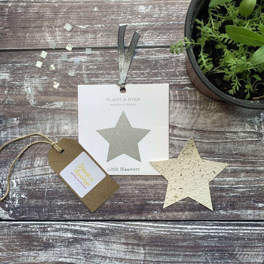 Plantable Seed Paper Card - Sparkly Star - The Rosy Robin Company