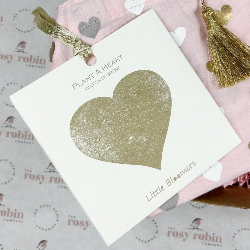 Ready To Go Gift Box - Bag of Love - The Rosy Robin Company