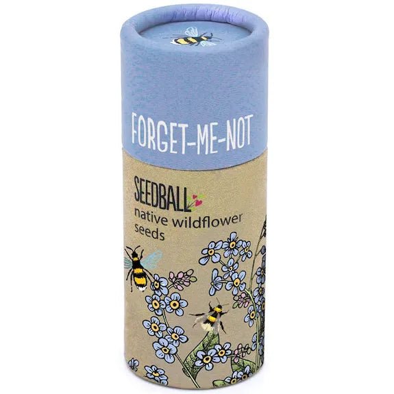 Wildflower Seedballs - Forget Me Not in a Tube - The Rosy Robin Company