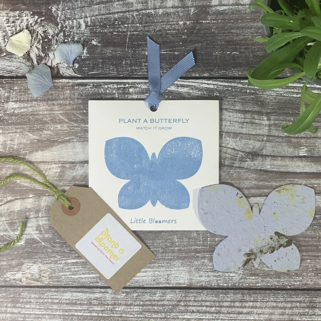 Plantable Seed Paper Card - Butterfly - The Rosy Robin Company