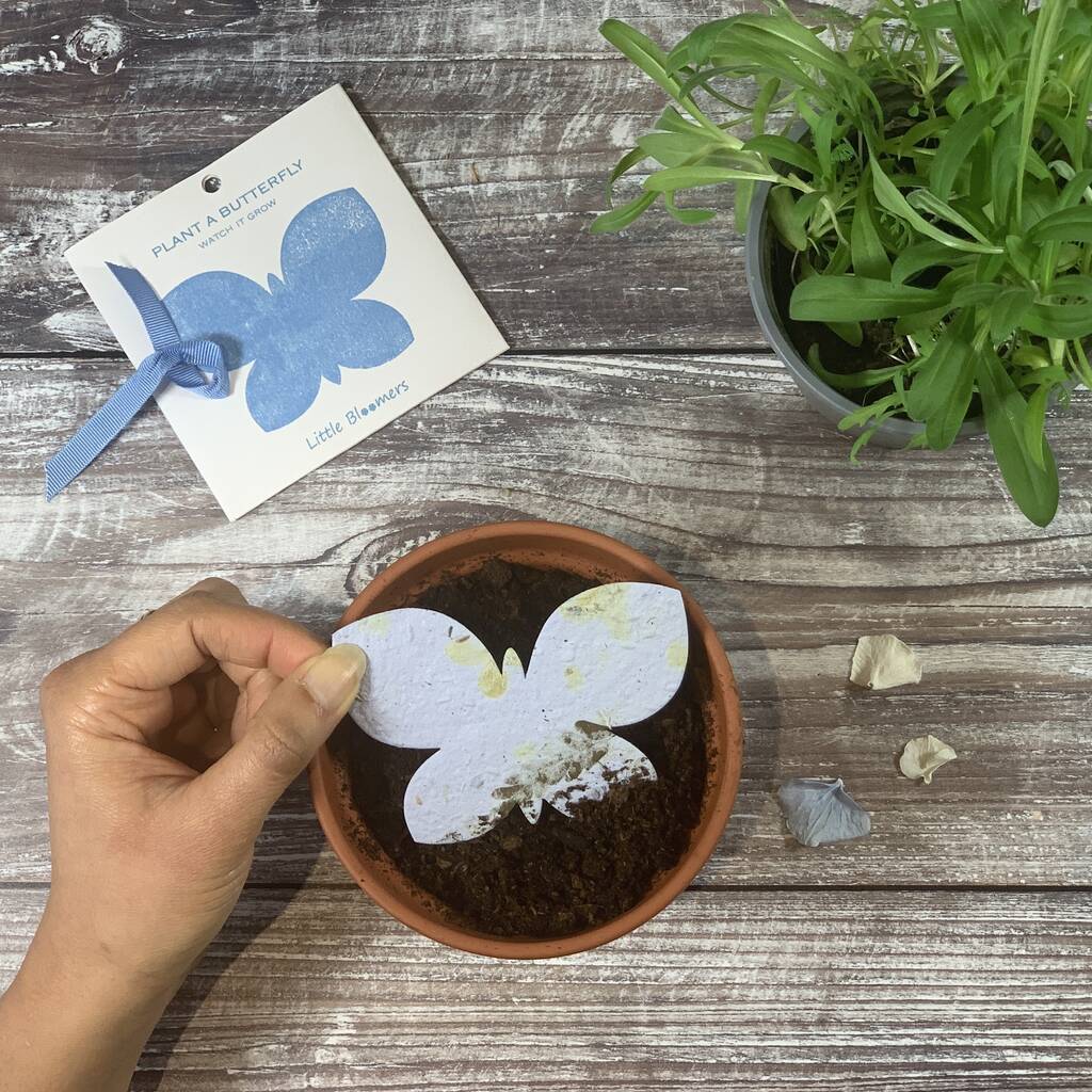 Plantable Seed Paper Card - Butterfly - The Rosy Robin Company