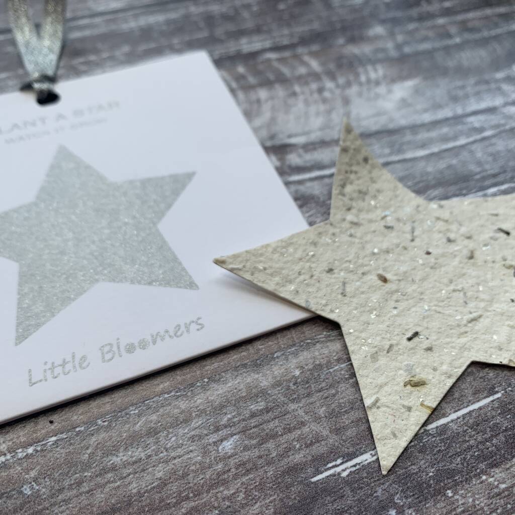 Plantable Seed Paper Card - Sparkly Star - The Rosy Robin Company