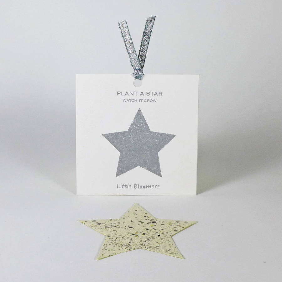 Plantable Seed Paper Card - Sparkly Star - The Rosy Robin Company