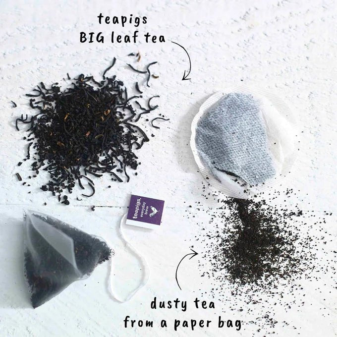 Teapigs Tea Piglet (2 Temples) - Jasmine Pearl - The Rosy Robin Company