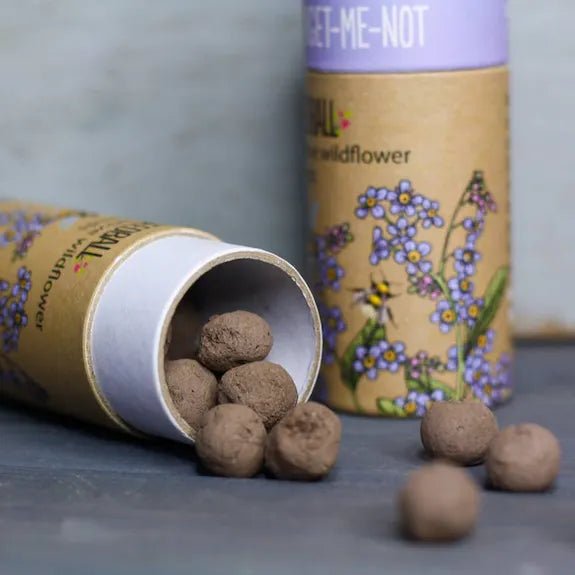 Wildflower Seedballs - Forget Me Not in a Tube - The Rosy Robin Company