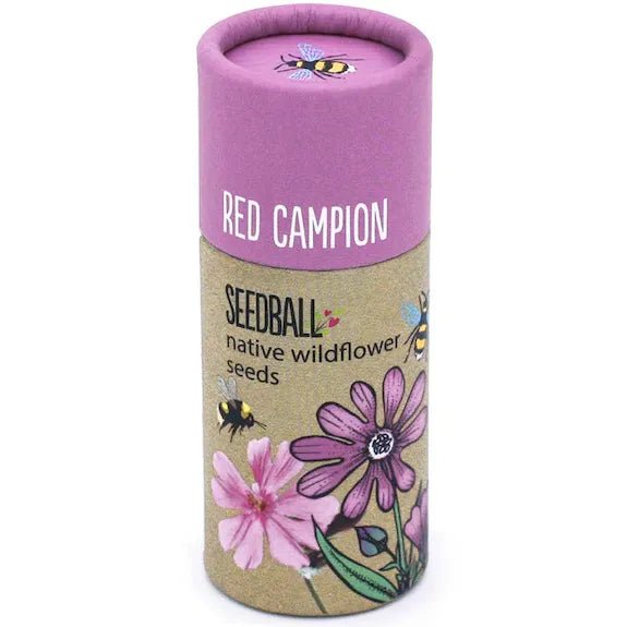 Wildflower Seedballs - Red Campion in a Tube - The Rosy Robin Company